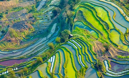 yunnan