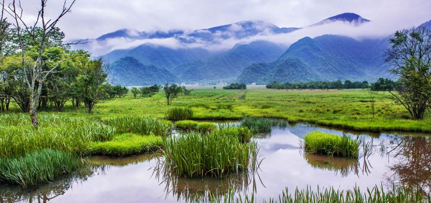 Yangtse