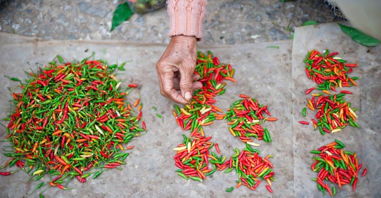 laos