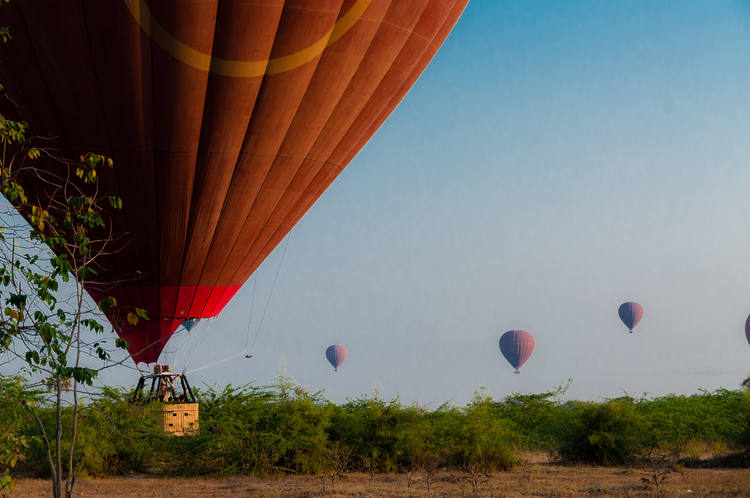 Keoladeo National Park Indien