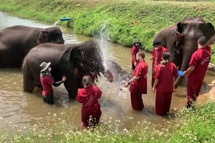 Laos Elefanten Reiseroute 2 Wochen
