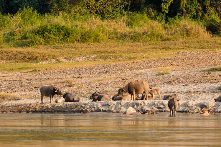 china laos reiseroute
