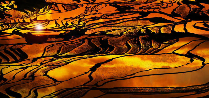 Yuanyang Reisterrassen